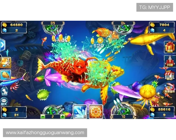 3. 详细的ag捕鱼盈利攻略教你如何识别最佳捕鱼时机和策略